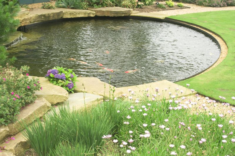 Pond Excavation Service