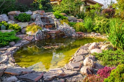 Pond Design Consultation