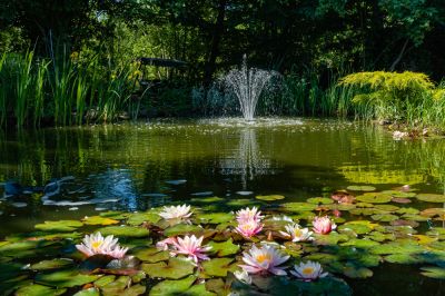 Provide a Beautiful and Functional Addition to Your Outdoor Space!